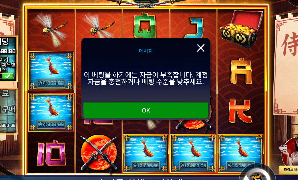 screenshot ì¬ë¬´ë¼ì´ì½ë ì¤ë§ .png
